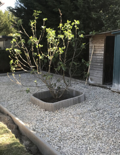 Baum umrandet von Schotter