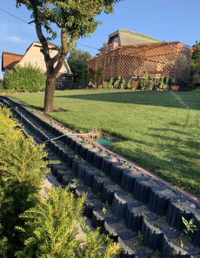 neuer Rasen mit Gartenbewässerung