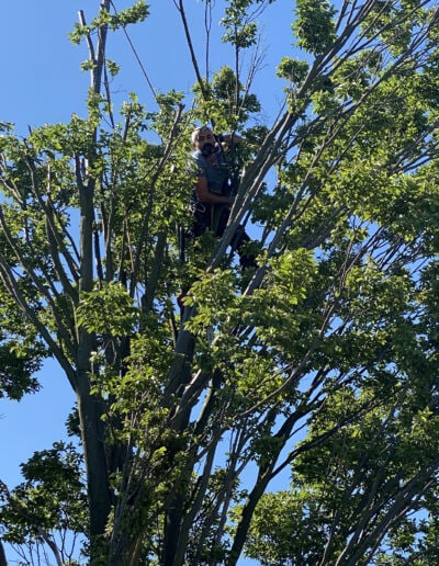 Arbeiter sitzt in einen Baum