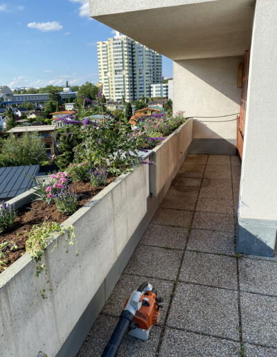 Balkon mit Pflanzen