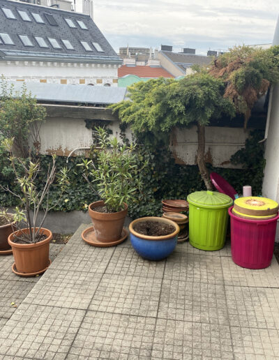 Blumentöpfe auf einer Dachterrasse