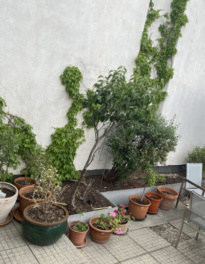 Dachterrasse mir Bäumen und Sträuchern