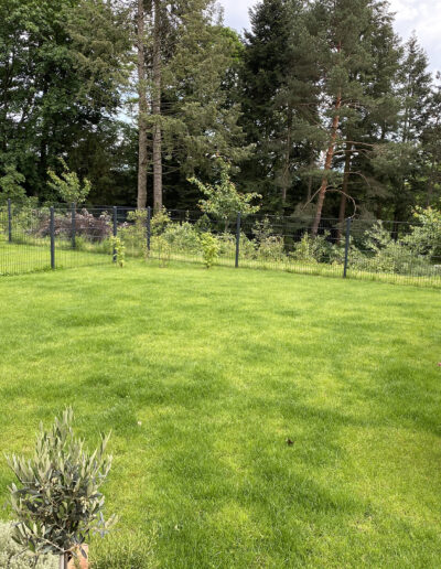 gepflegter Garten mit Wiese und kleinen Bäumen