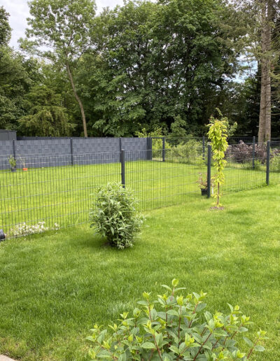 gepflegter Garten mit Wiese und kleinen Bäumen