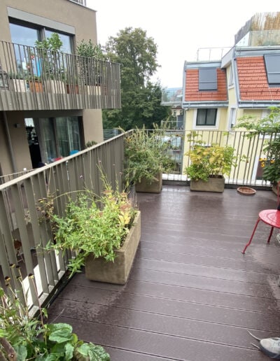 Terrassenpflanzen auf einem Balkon